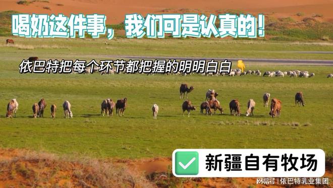 从业者视角:如何辨别真正靠谱的驼奶工厂